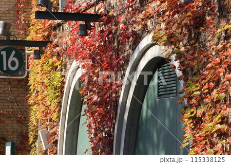 紅葉に包まれた甲子園球場 紅葉に包まれた甲子園球場 115338125