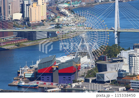 高層ビル展望台からの、大阪南港の眺望:天保山の大観覧車、海遊館のアップ 高層ビル展望台からの、大阪南港の眺望:天保山の大観覧車、海遊館のアップ 115338450