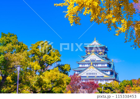 秋の大阪城 115338453