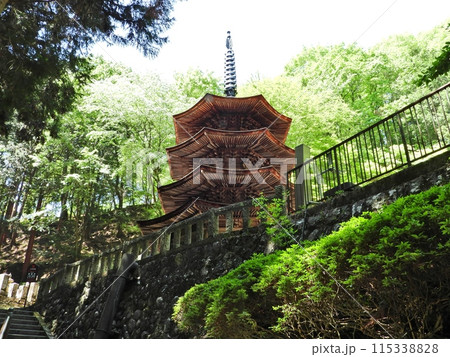 国宝八角三重塔を安楽寺参道より仰角 国宝八角三重塔を安楽寺参道より仰角 115338828