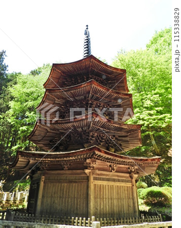 新緑に囲まれた安楽寺の国宝八角三重塔 115338829