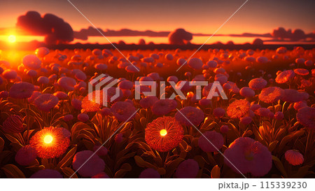 Sunset Field flower background 3d wallpaper 115339230