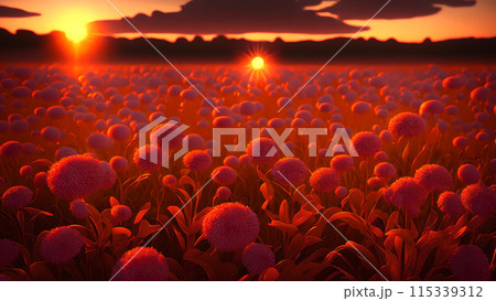 Sunset Field flower background 3d wallpaper Sunset Field flower background 3d wallpaper 115339312