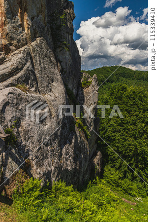 a rocks in Tustan fortress place Skole Beskids National Nature Park Lviv region a rocks in Tustan fortress place Skole Beskids National Nature Park Lviv region 115339410