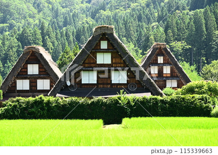 世界遺産,合掌造りと田園 世界遺産,合掌造りと田園 115339663