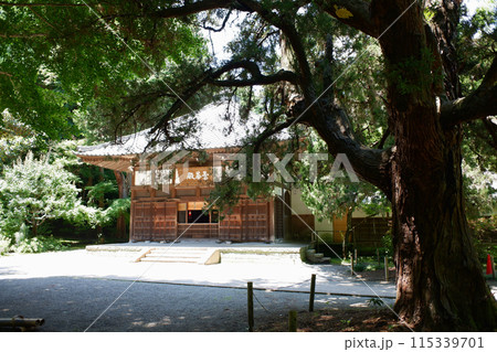 鎌倉 浄智寺・曇華殿 鎌倉 浄智寺・曇華殿 115339701