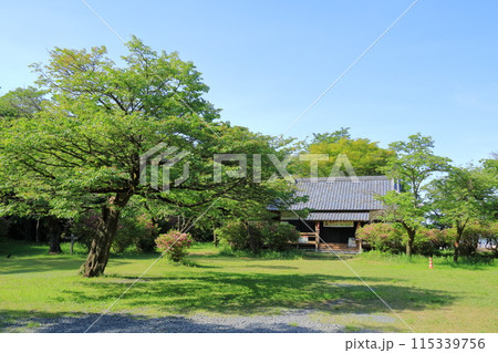 東京都・八王子市・滝山公園 東京都・八王子市・滝山公園 115339756