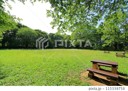 東京都・八王子市・滝山公園 東京都・八王子市・滝山公園 115339758