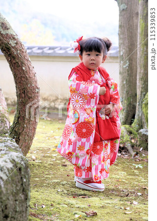 七五三詣、三歳のお祝いロケーション撮影、被布和装キッズフォト 115339853