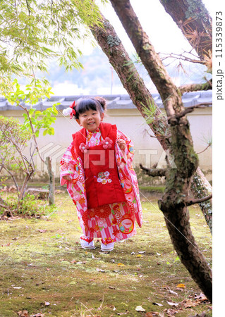 七五三詣、三歳のお祝いロケーション撮影、被布和装キッズフォト 七五三詣、三歳のお祝いロケーション撮影、被布和装キッズフォト 115339873