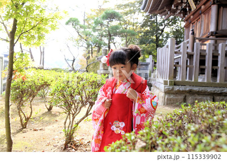 七五三詣、三歳のお祝いロケーション撮影、被布和装キッズフォト 115339902