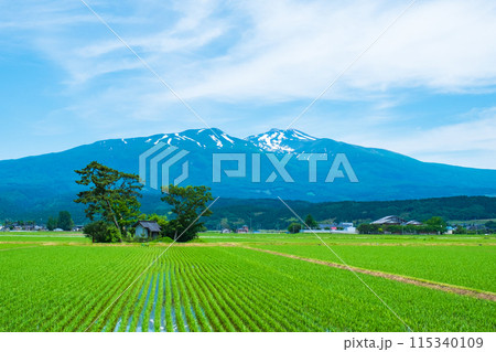 遊佐町から望む鳥海山 遊佐町から望む鳥海山 115340109