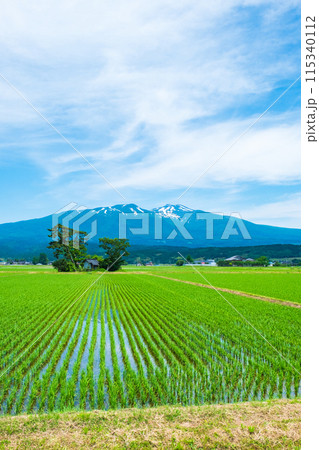遊佐町から望む鳥海山 遊佐町から望む鳥海山 115340112