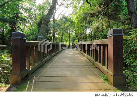 東京都・八王子市・滝山公園・木橋 東京都・八王子市・滝山公園・木橋 115340166