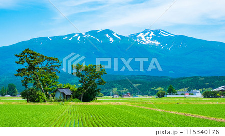 遊佐町から望む鳥海山 遊佐町から望む鳥海山 115340176