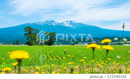 遊佐町から望む鳥海山 遊佐町から望む鳥海山 115340182
