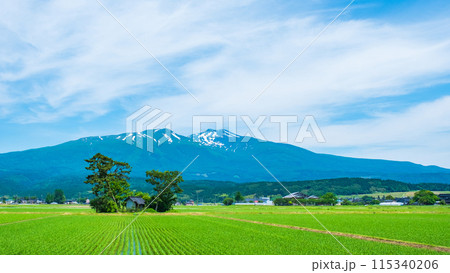 遊佐町から望む鳥海山 遊佐町から望む鳥海山 115340206