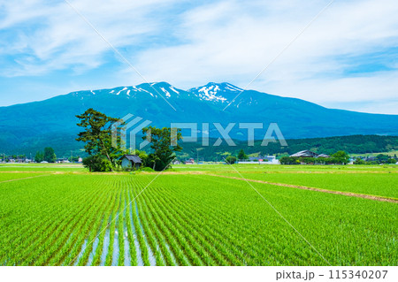 遊佐町から望む鳥海山 115340207