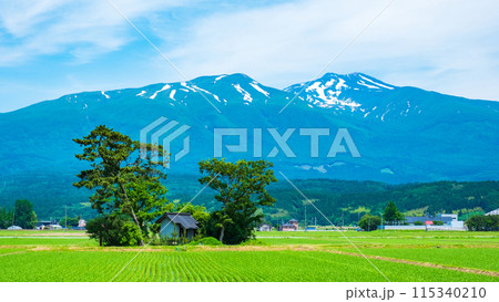 遊佐町から望む鳥海山 遊佐町から望む鳥海山 115340210