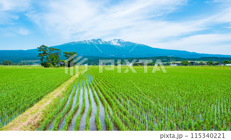 遊佐町から望む鳥海山 115340221