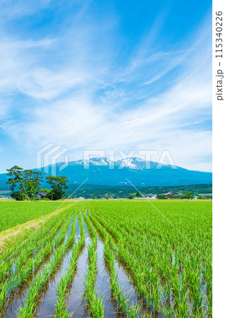 遊佐町から望む鳥海山 115340226