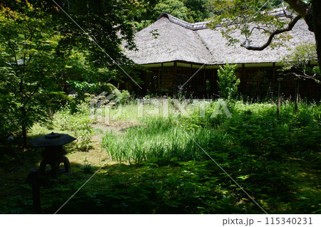 鎌倉 浄智寺・書院のお庭 鎌倉 浄智寺・書院のお庭 115340231