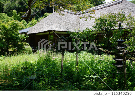鎌倉 浄智寺・書院のお庭 鎌倉 浄智寺・書院のお庭 115340250