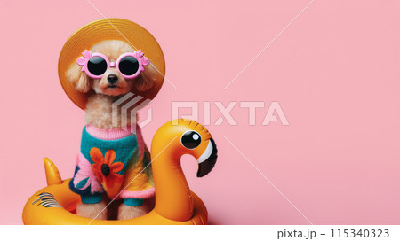 Funny dog wearing summer fashion on pastel background. Summer Vacation Concept. 115340323