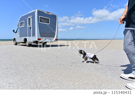 愛犬とキャンピングカー旅 チワワ 海 ビーチ 愛犬とキャンピングカー旅 チワワ 海 ビーチ 115340431