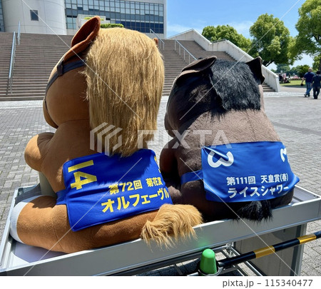 競馬場 115340477
