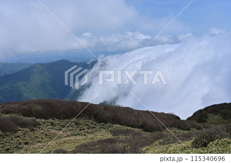 笹ヶ峰から見た滝雲、伊予富士方面 笹ヶ峰から見た滝雲、伊予富士方面 115340696