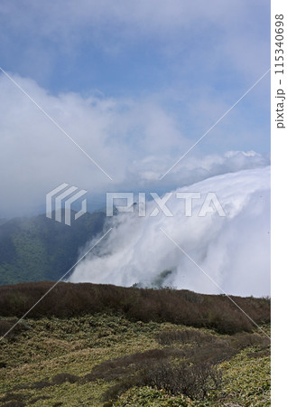 笹ヶ峰から見た滝雲、伊予富士方面 笹ヶ峰から見た滝雲、伊予富士方面 115340698