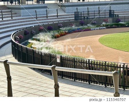 京都競馬場 競馬場 115340707