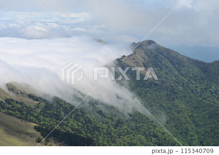笹ヶ峰から見た雲海、冠山方面 笹ヶ峰から見た雲海、冠山方面 115340709