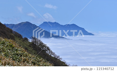 笹ヶ峰から見た雲海、石鎚山方面 笹ヶ峰から見た雲海、石鎚山方面 115340712