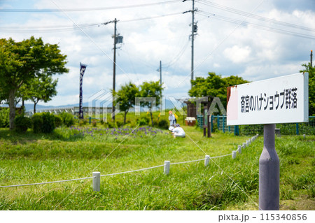 斎宮ハナショウブ群落 115340856
