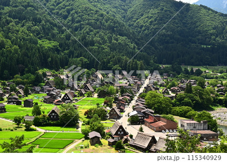 夏の白川郷を望む 115340929