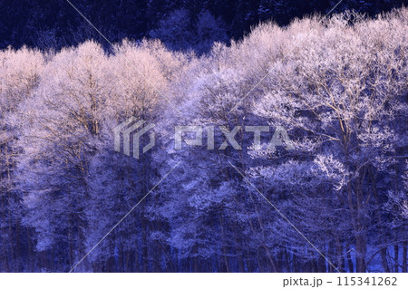 岩手県西和賀町　朝焼けの冬景色 115341262