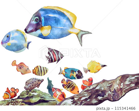水彩画の熱帯魚 115341466