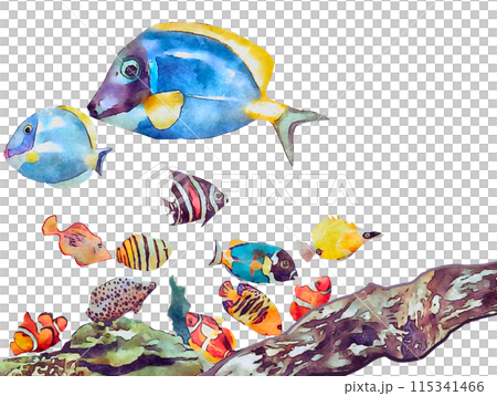 watercolor tropical fish watercolor tropical fish 115341466