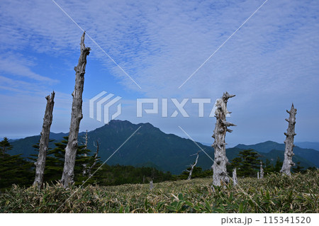 日本百名山「石鎚山」を氷見二千石原より撮影 日本百名山「石鎚山」を氷見二千石原より撮影 115341520