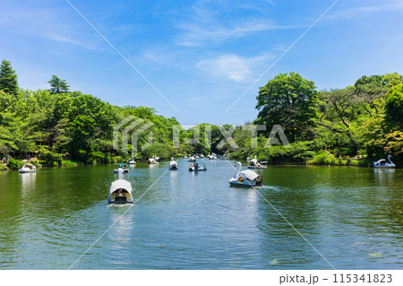 吉祥寺 休日の井の頭公園 吉祥寺 休日の井の頭公園 115341823