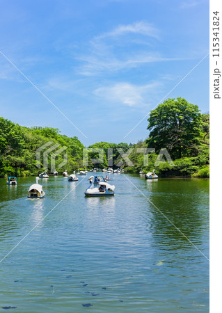 吉祥寺 休日の井の頭公園 吉祥寺 休日の井の頭公園 115341824