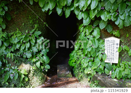 鎌倉 浄智寺の横井戸 鎌倉 浄智寺の横井戸 115341929