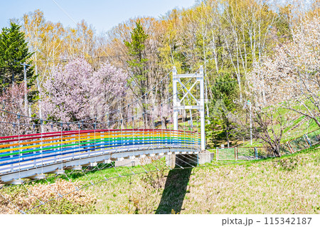 北海道 三笠山自然公園の風景 北海道 三笠山自然公園の風景 115342187