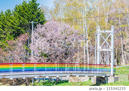 北海道　三笠山自然公園の風景 115342235