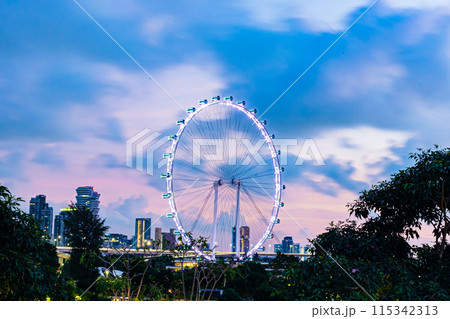 シンガポール　朝のガーデンズ・バイ・ザ・ベイ 115342313