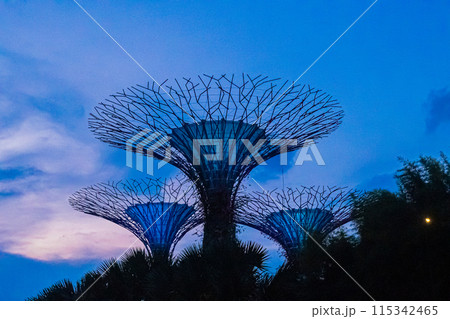 シンガポールの夜景 シンガポールの夜景 115342465