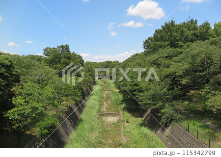 夏の青空と新緑に包まれた空堀川の風景1 115342799