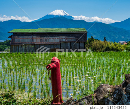 中野の棚田から見たレトロな赤い消火栓と富士山 中野の棚田から見たレトロな赤い消火栓と富士山 115343423